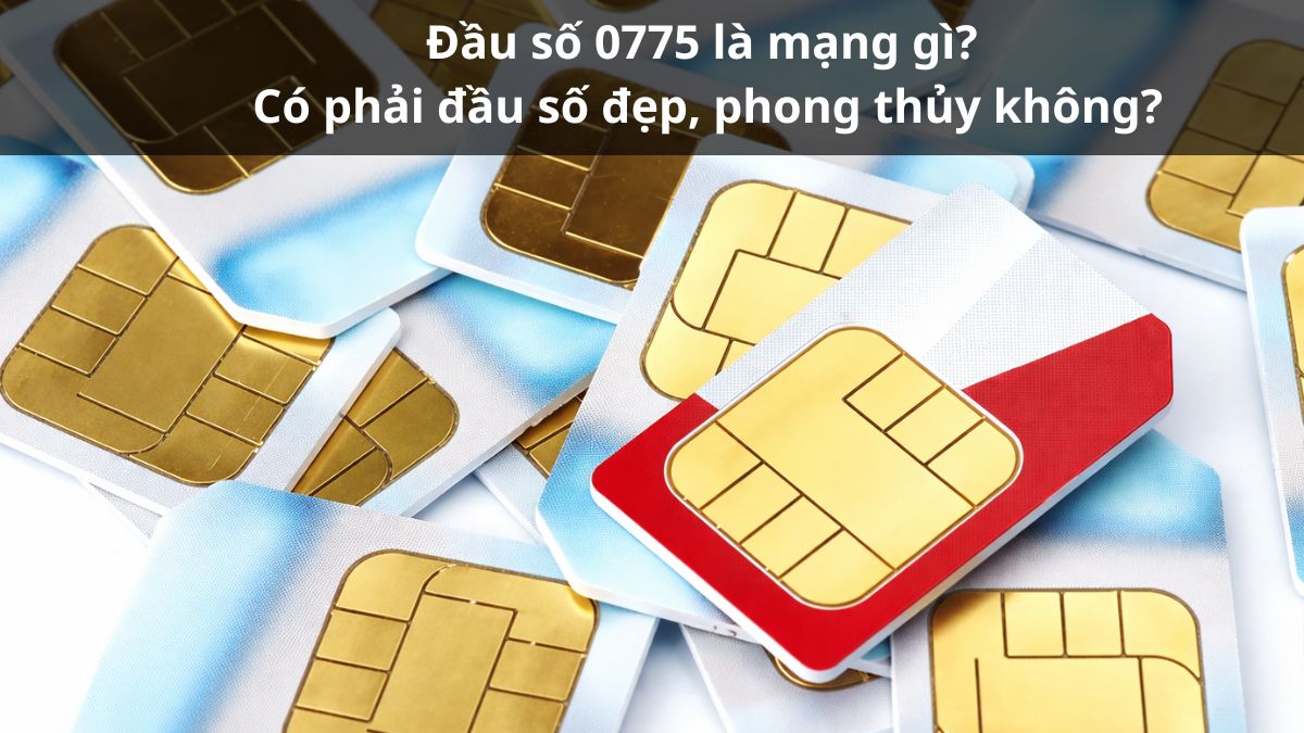 Đầu số 0775 là mạng gì? Có phải đầu số đẹp, phong thủy không?